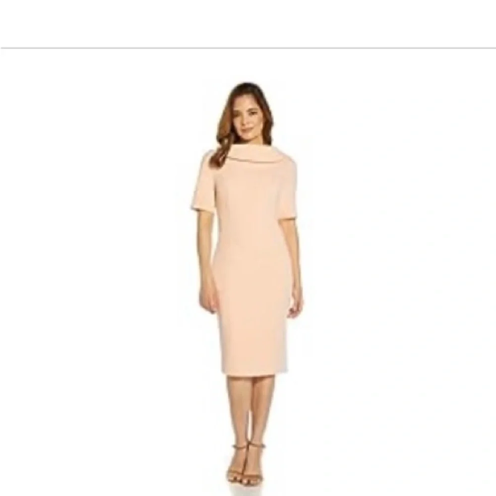 Roll Neck Sheath Collar Dress with V-back - Picture 5 of 6